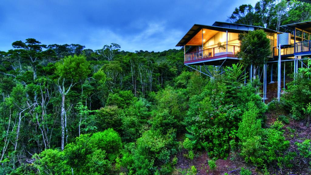 O'Reilly's Rainforest Retreat Packages