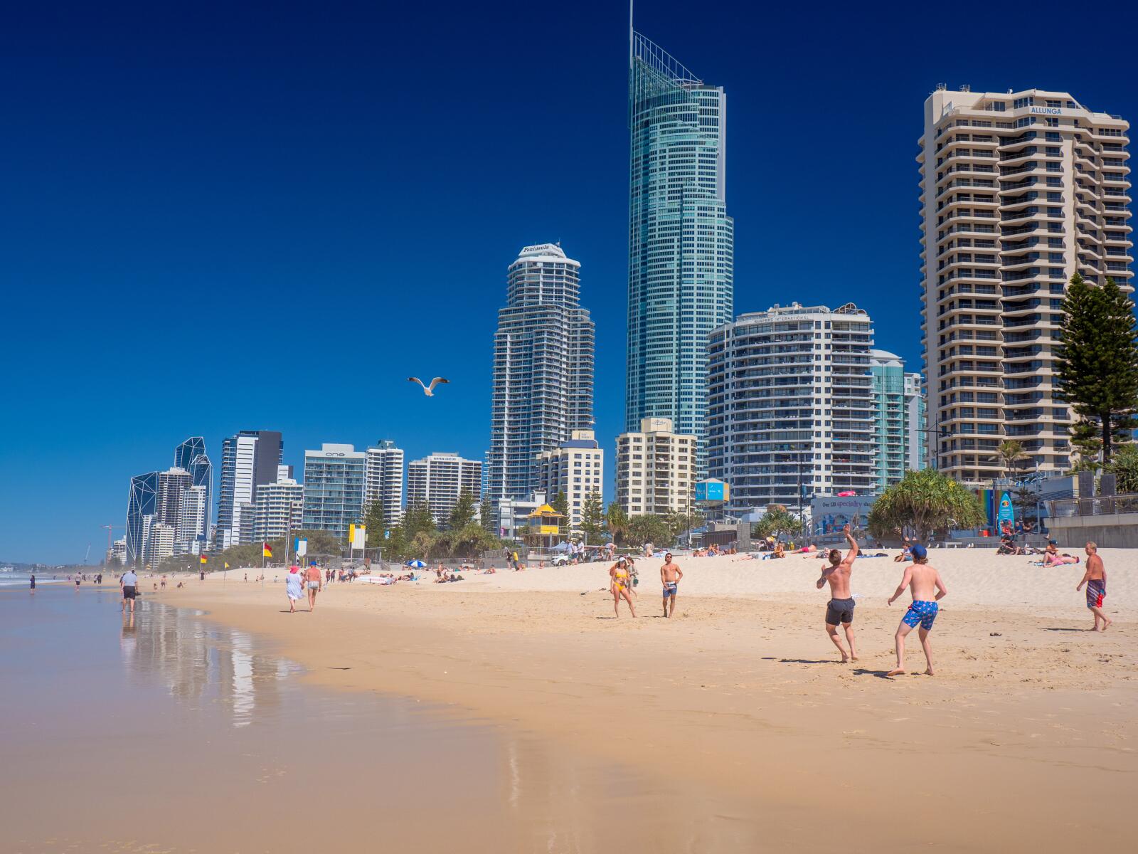 Surfers Paradise Beach - Surfers Paradise Surf Lifesaving Club