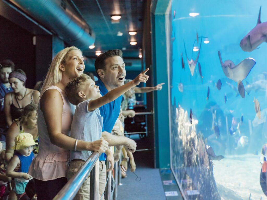 Sea World Review, Australia's BEST Theme Park