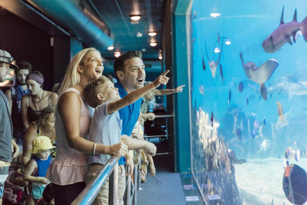 SeaWorld San Diego Theme Park - Aquarium, Zoo & Theme Park in