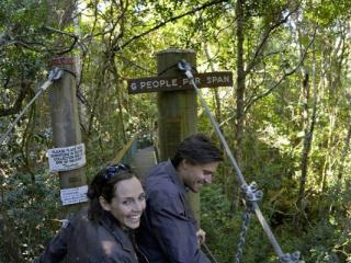 Tree Top Walk