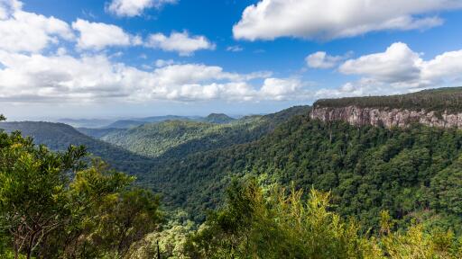 Canyon Lookout