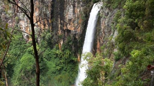 Purling Brook Falls