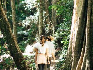 Rainforest Walk