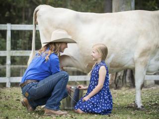 Paradise Country - Cow Milking