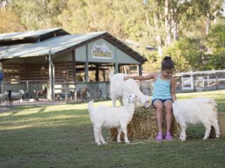 Paradise Country - Goats