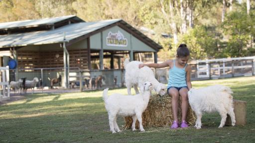 Paradise Country - Goats