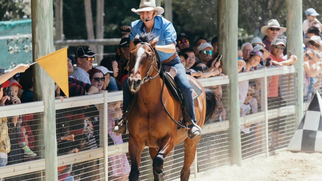 Paradise Country Stockhorse Show