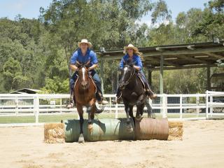 Paradise Country - Stockmen Show