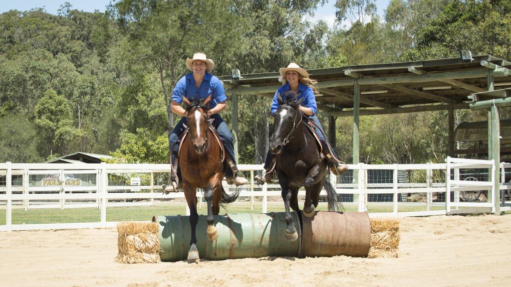 Paradise Country - Stockmen Show