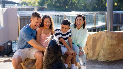 Sea World Family Rescue Ranger