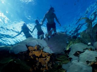 Great Barrier Reef Snorkeling