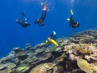 Great Barrier Reef_TEQ
