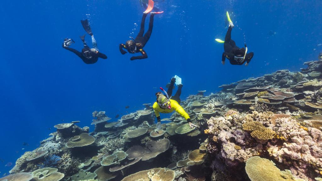 Great Barrier Reef_TEQ