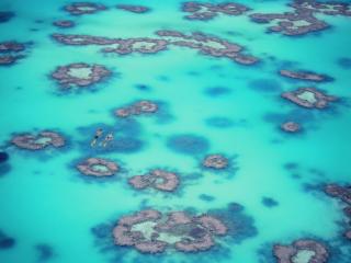 Heron Reef
