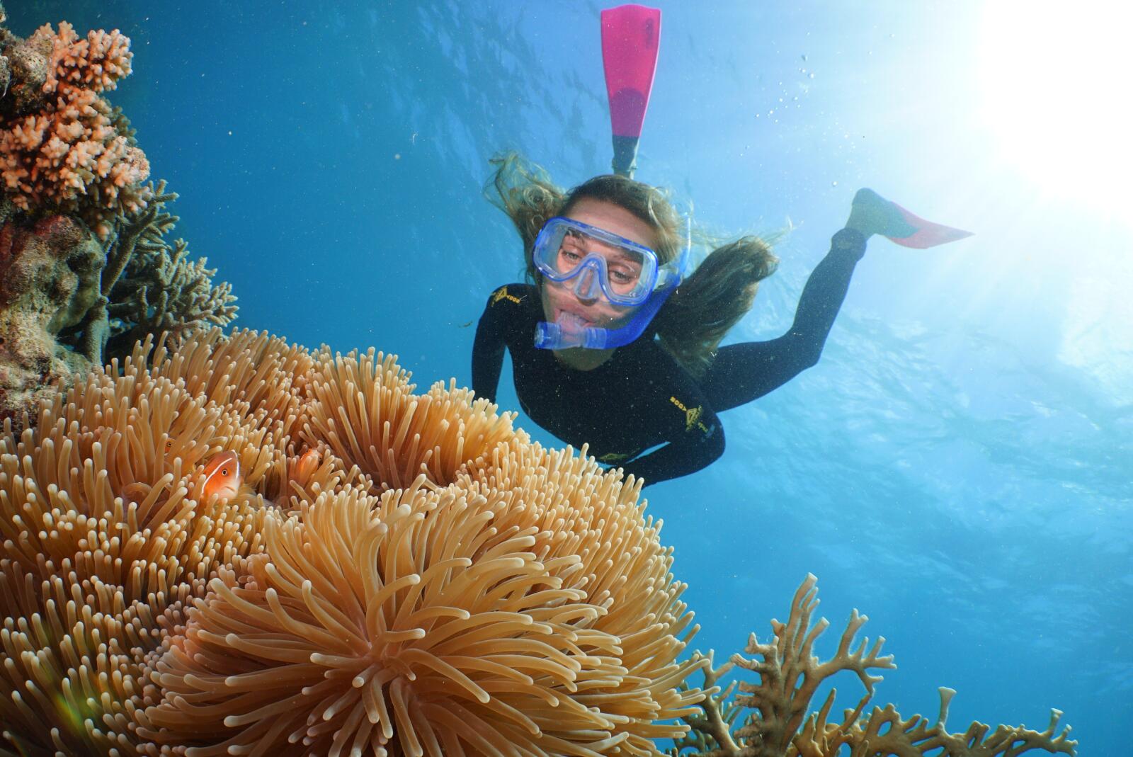 Quicksilver Outer Reef Cruise Snorkeling