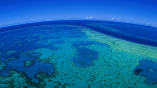 Reef Credited For International Tourists Booming Billions