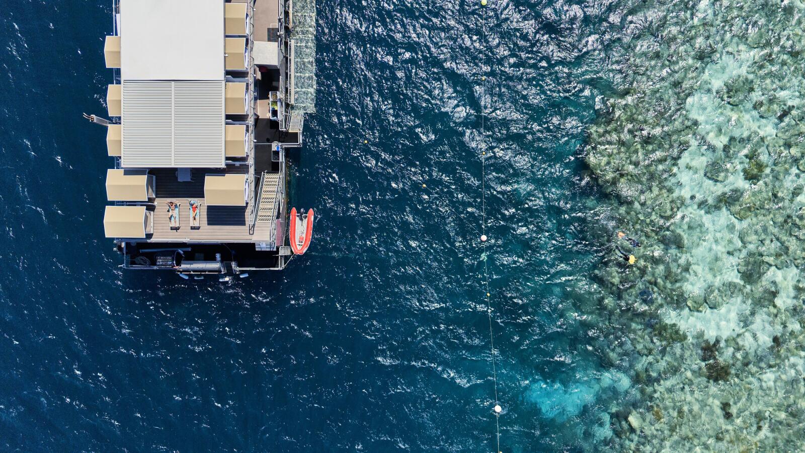 Reefworld Pontoon