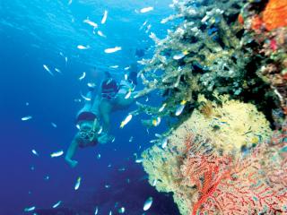 Great Barrier Reef Adventure