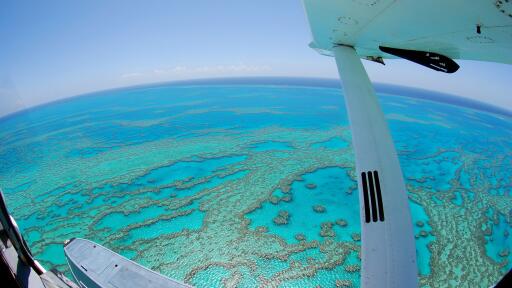 Top Diving Reefs on the Great Barrier Reef