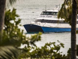 Fitzroy Island Flyer