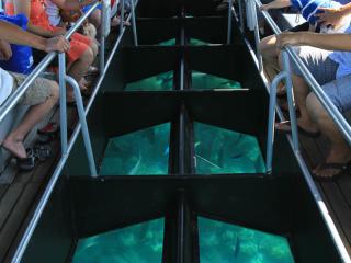 Glass Bottom Boat