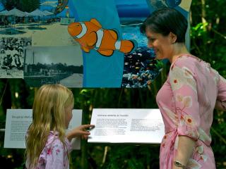 Green Island Education Display