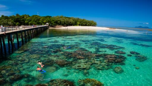 Green Island Snorkeling