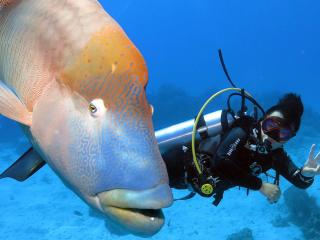 Outer Reef Diving