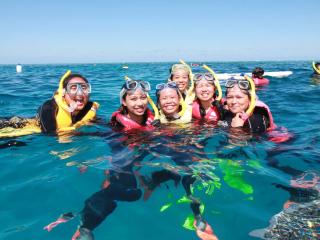 Outer Reef Snorkelling
