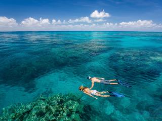 Outer Reef Snorkelling