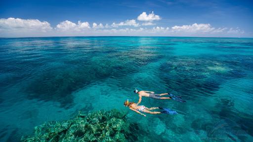 Outer Reef Snorkelling