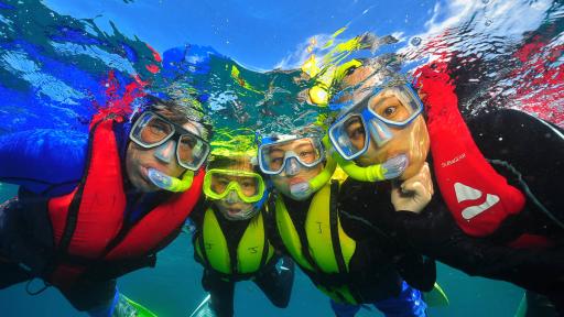 Snorkelling