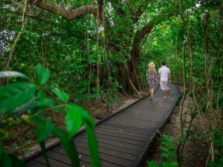 Green Island Cruise - Rainforest