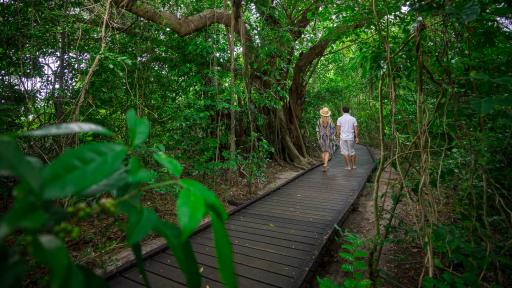 Green Island Cruise - Rainforest
