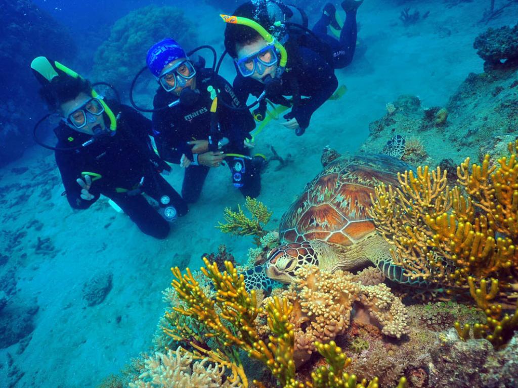 Green Island Cruises - Intro Dive