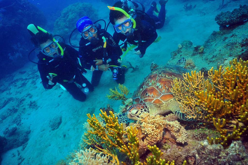 Green Island & Great Barrier Reef Scuba Diving - Great Adventures Cruises