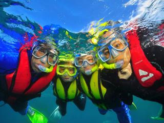 Green Island Cruises - Snorkelling