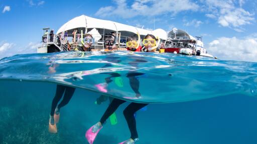 Great Barrier Reef Adventure Snorkeling