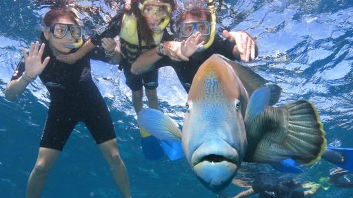 Snorkelling