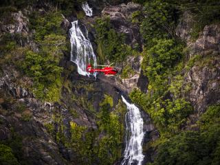 Scenic Flight - Rainforest