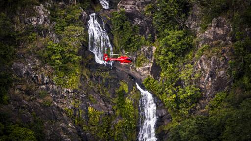 Scenic Flight - Rainforest