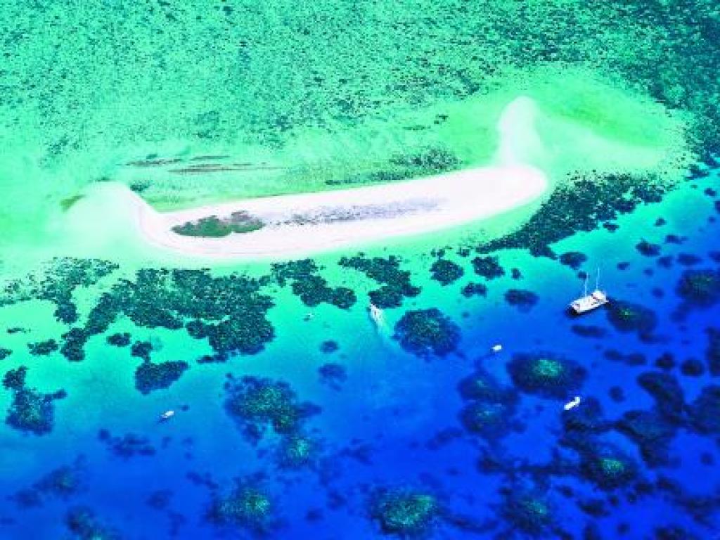 Michaelmas Cay Cruise Great Barrier Reef