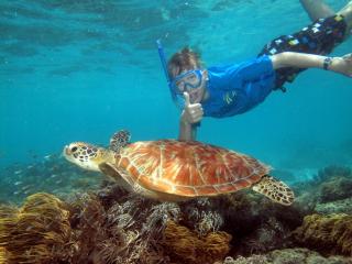 Snorkelling