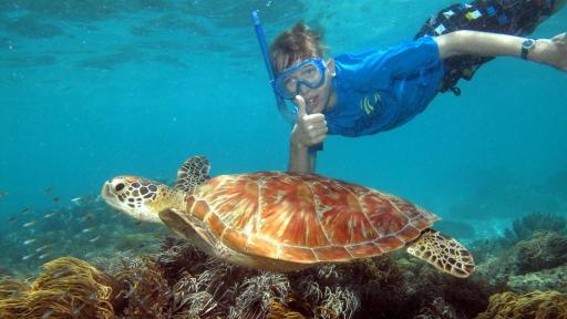 Snorkelling