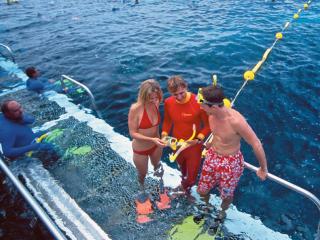 Outter Barrier Reef