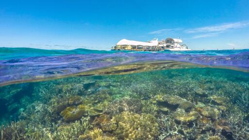 Great Barrier Reef Adventure Tour