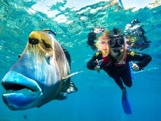 Outer Great Barrier Reef Day Cruise