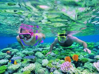 Quicksilver Outer Reef Cruise