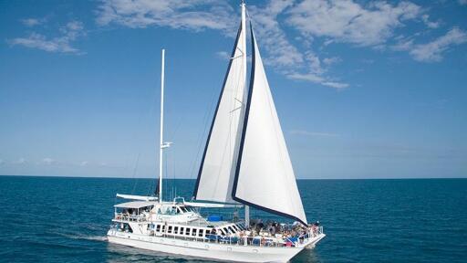 Quicksilver Wavedancer Low Isles Cruise